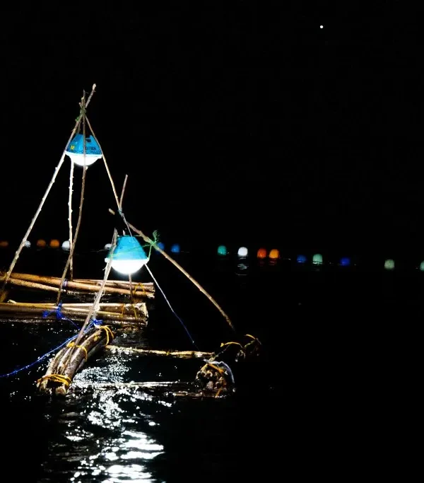 Night Fishing Trips on Lake Victoria With Local Fishermen