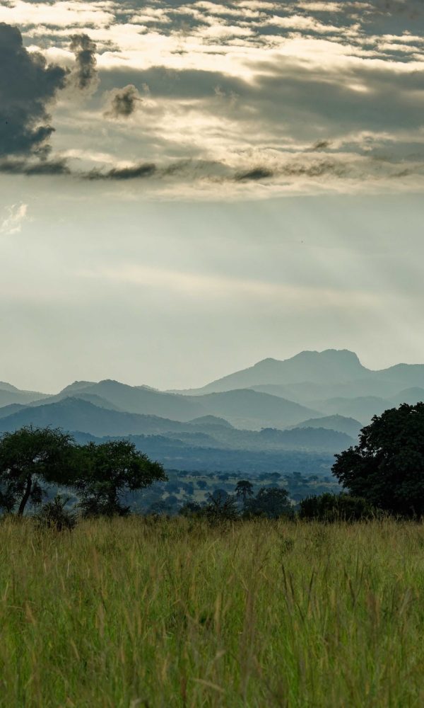 Night Sky Photography in Kidepo and the Karamoja Plains
