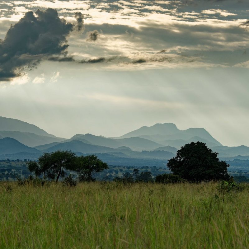 Night Sky Photography in Kidepo and the Karamoja Plains Night Sky Photography in Kidepo and the Karamoja Plains