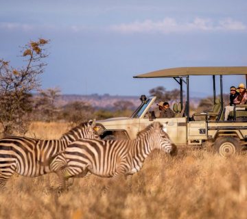 Nyerere Selous Game Reserve2 360x320