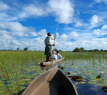 Okavango Delta by Mokoro: What a Dugout Canoe Day Is Like