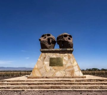 Olduvai Gorge Museum: Where Early Human Fossils Were Found
