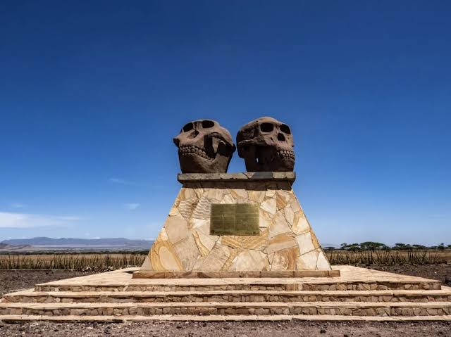 Olduvai Gorge Museum: Where Early Human Fossils Were Found