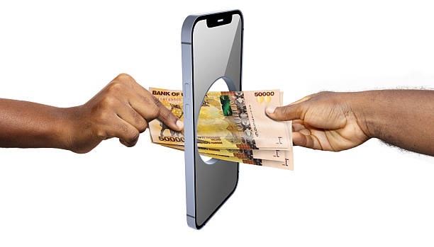 Paying a Safari Deposit From Abroad: Wire, Card and Mobile Money