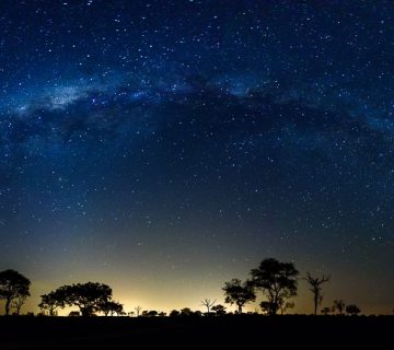 Photographing Starry Skies From a Safari