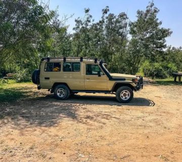 Planning a 300 Species Trip in Uganda