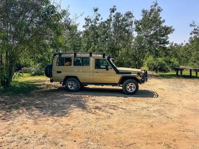 Planning a 300 Species Trip in Uganda