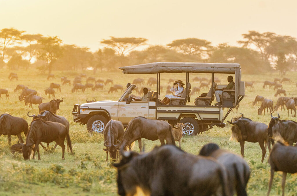 Planning a Safari Around 10 Working Days of Leave