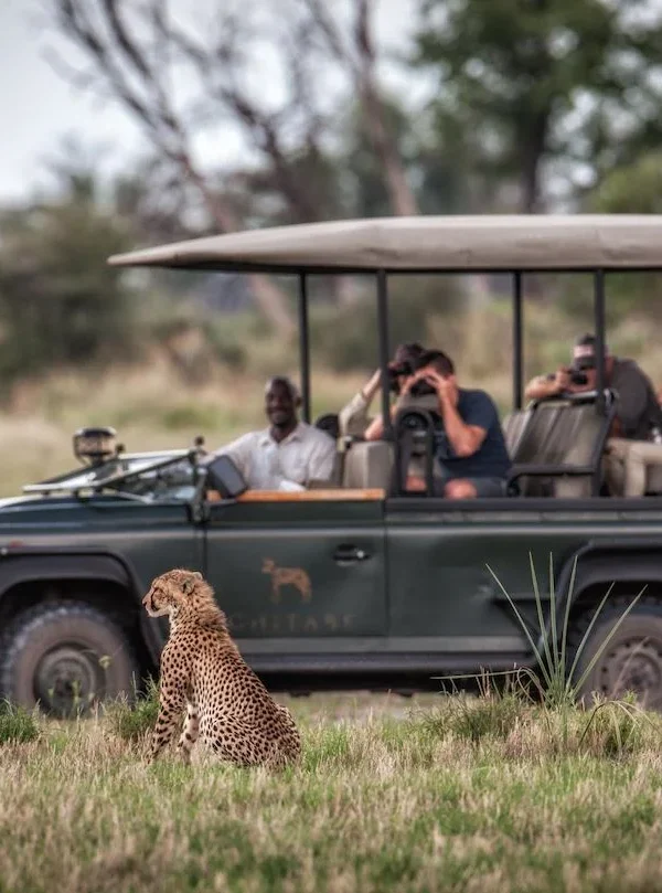Planning a Safari for a Large Group or Reunion