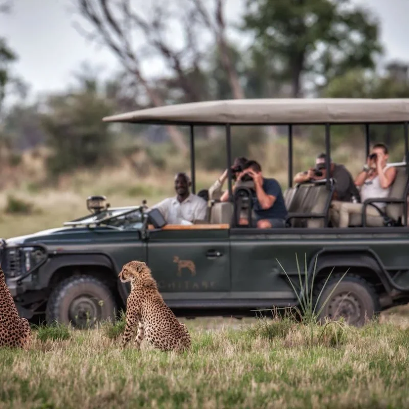 Planning a Safari for a Large Group or Reunion Planning a Safari for a Large Group or Reunion
