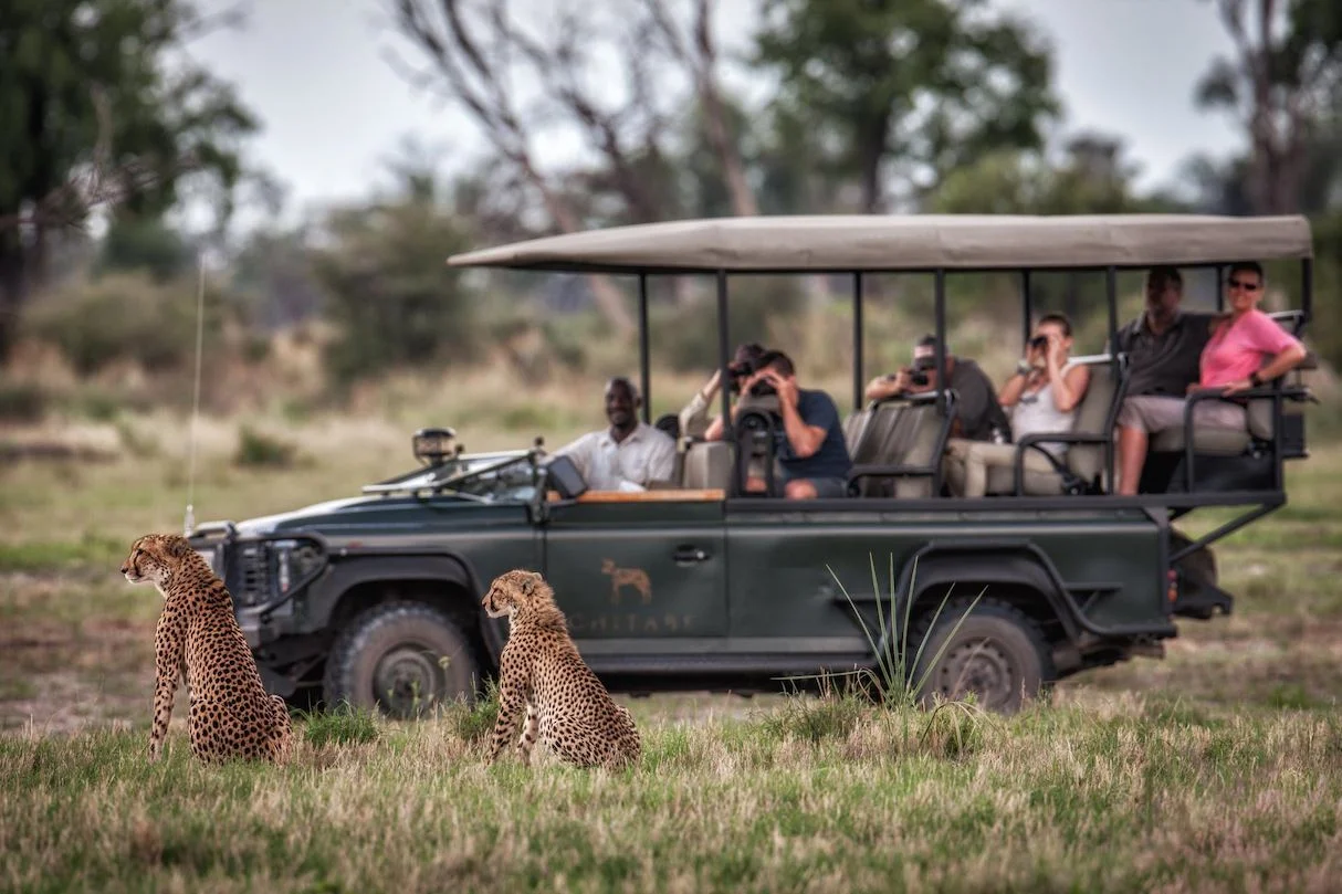 Planning a Safari for a Large Group or Reunion