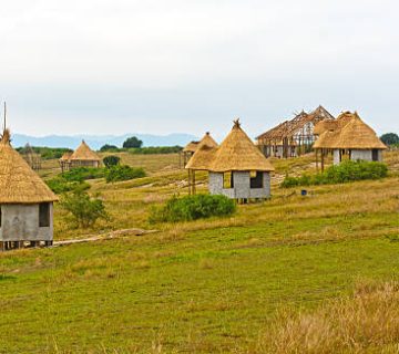 Plastic Free Safari Lodges: Which Properties Lead the Way?