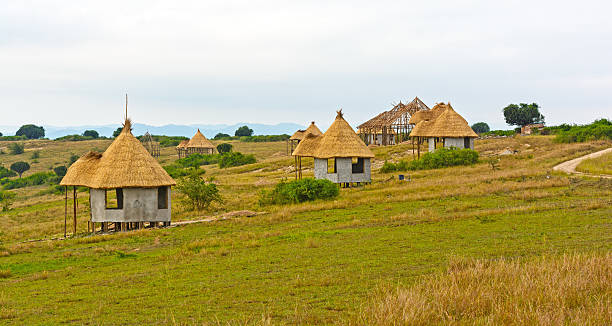 Plastic Free Safari Lodges: Which Properties Lead the Way?