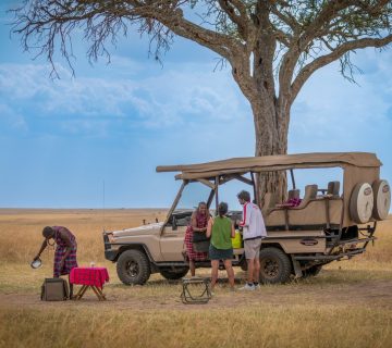 Reading Safari Reviews: How to Spot Real Experiences and Paid Posts