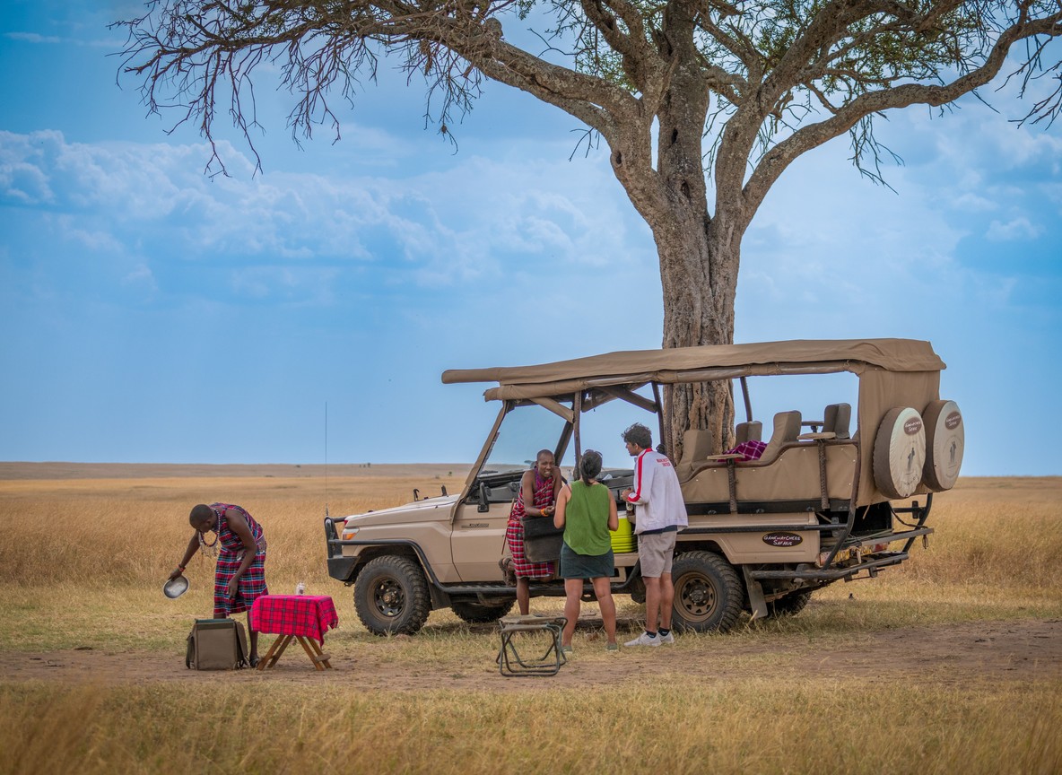 Reading Safari Reviews: How to Spot Real Experiences and Paid Posts