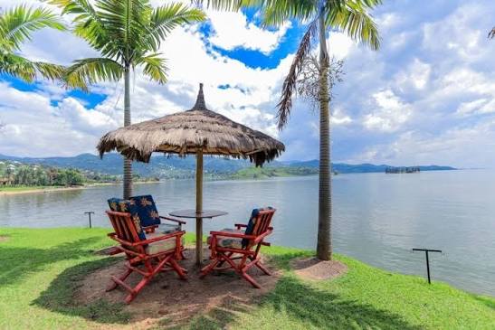 Sandy Lake Kivu beach with palm trees and beautiful waterfront scenery in Gisenyi, Rubavu, Rwanda