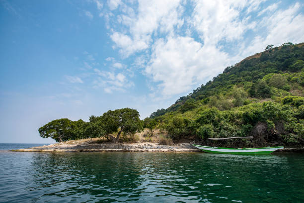 Rubondo Island National Park: Chimpanzees, Fishing and Birds on Lake Victoria