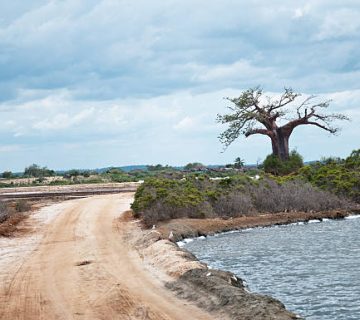 Saadani National Park: Safari and Beach in One Park