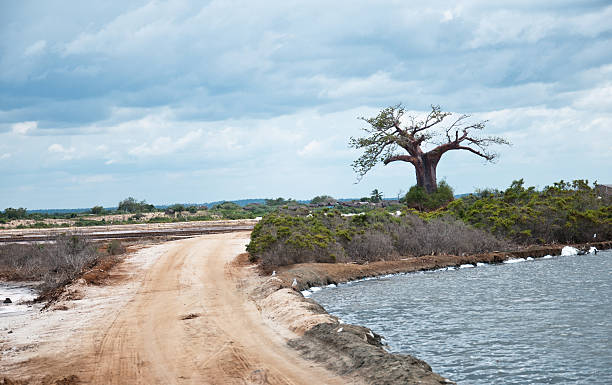 Saadani National Park: Safari and Beach in One Park