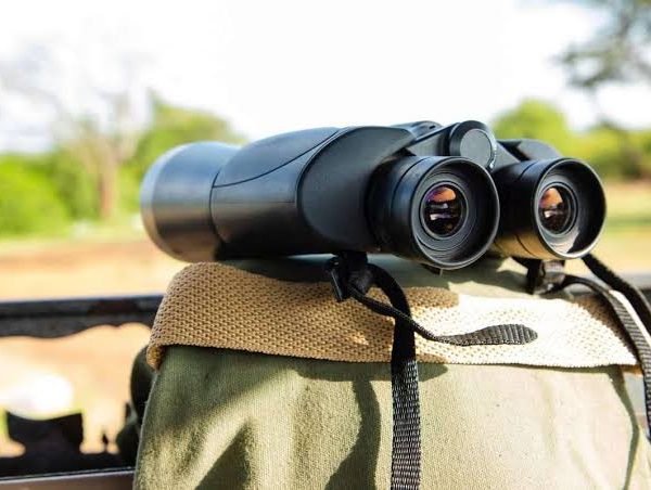 Safari Binoculars: How to Choose the Right Pair