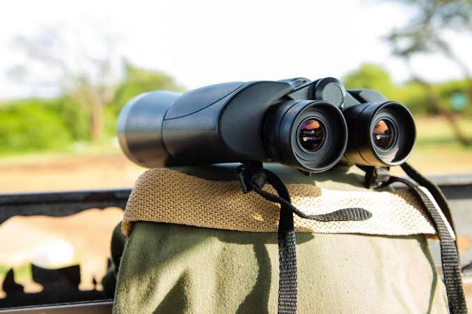 Safari Binoculars Safari Binoculars: How to Choose the Right Pair