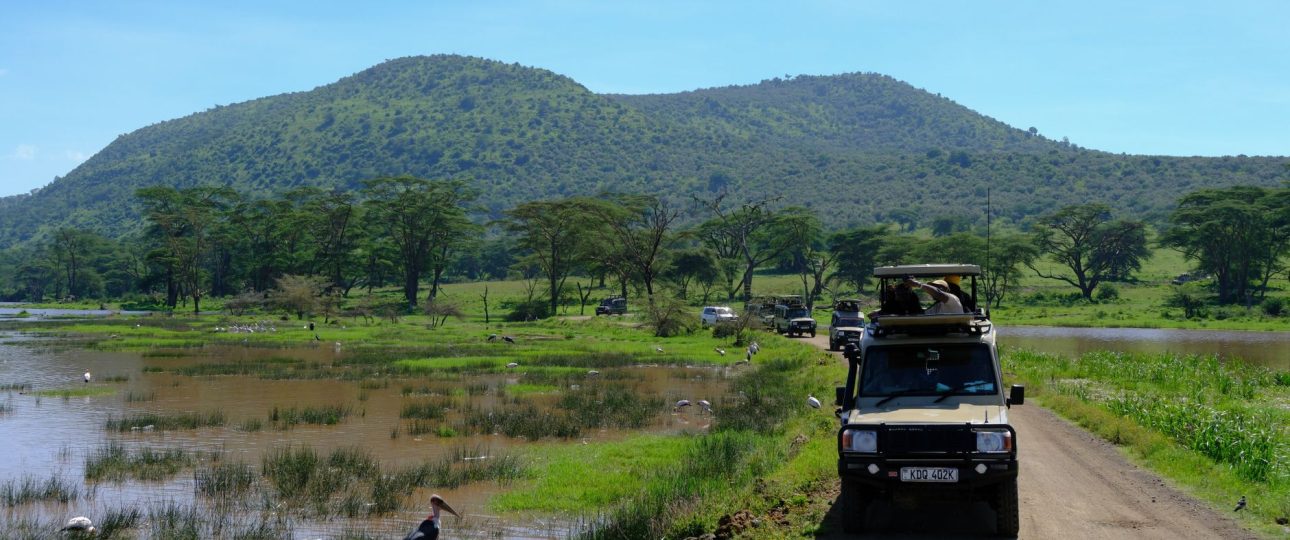 Safari Booking Timeline: How Many Months Ahead for Peak Season?