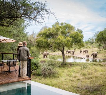 Safari Gift Vouchers and Anniversary Trips: Planning a Present