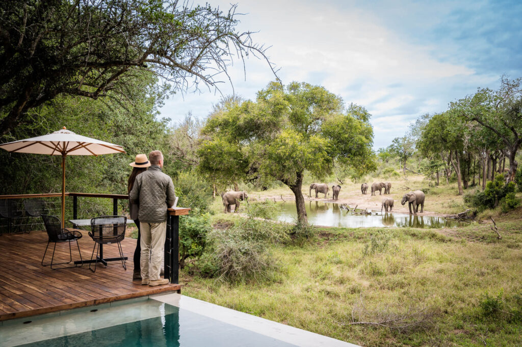 Safari Gift Vouchers and Anniversary Trips: Planning a Present