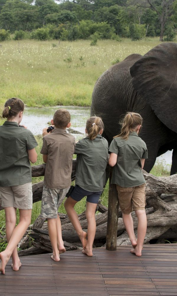 Safari With Grown Up Kids: Planning a Trip With Adult Children