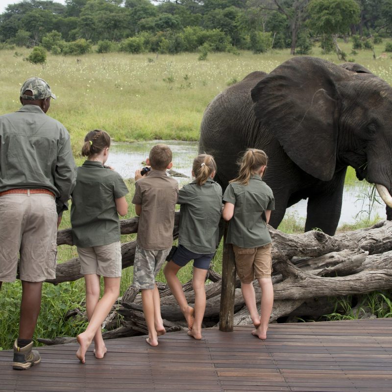 Safari With Grown-Up Kids Safari With Grown-Up Kids: Planning a Trip With Adult Children