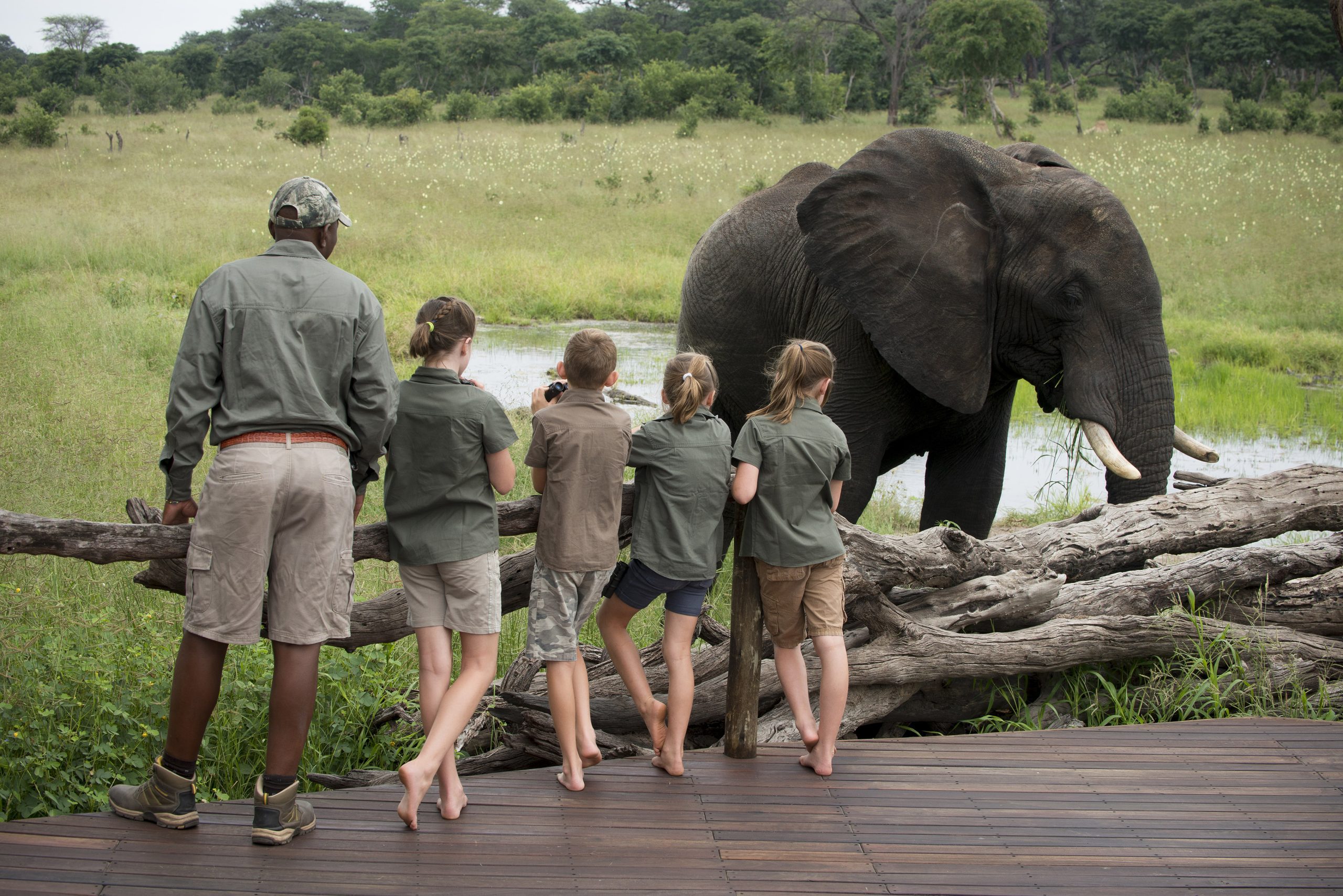 Safari With Grown Up Kids: Planning a Trip With Adult Children