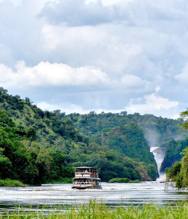 Scenic Flights Over Murchison Falls and the Rwenzoris