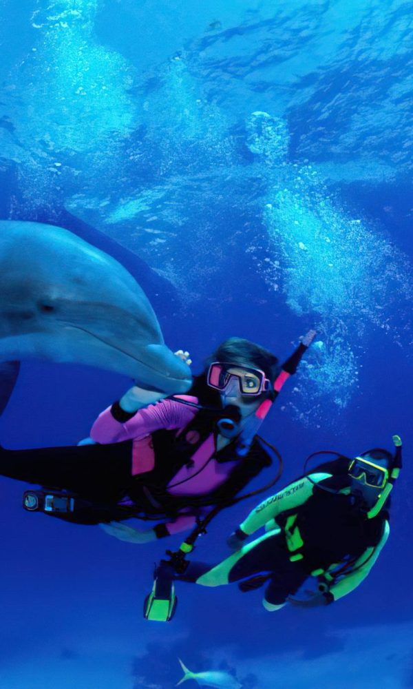 Scuba Diving in Zanzibar and Mafia Island: Best Dive Sites