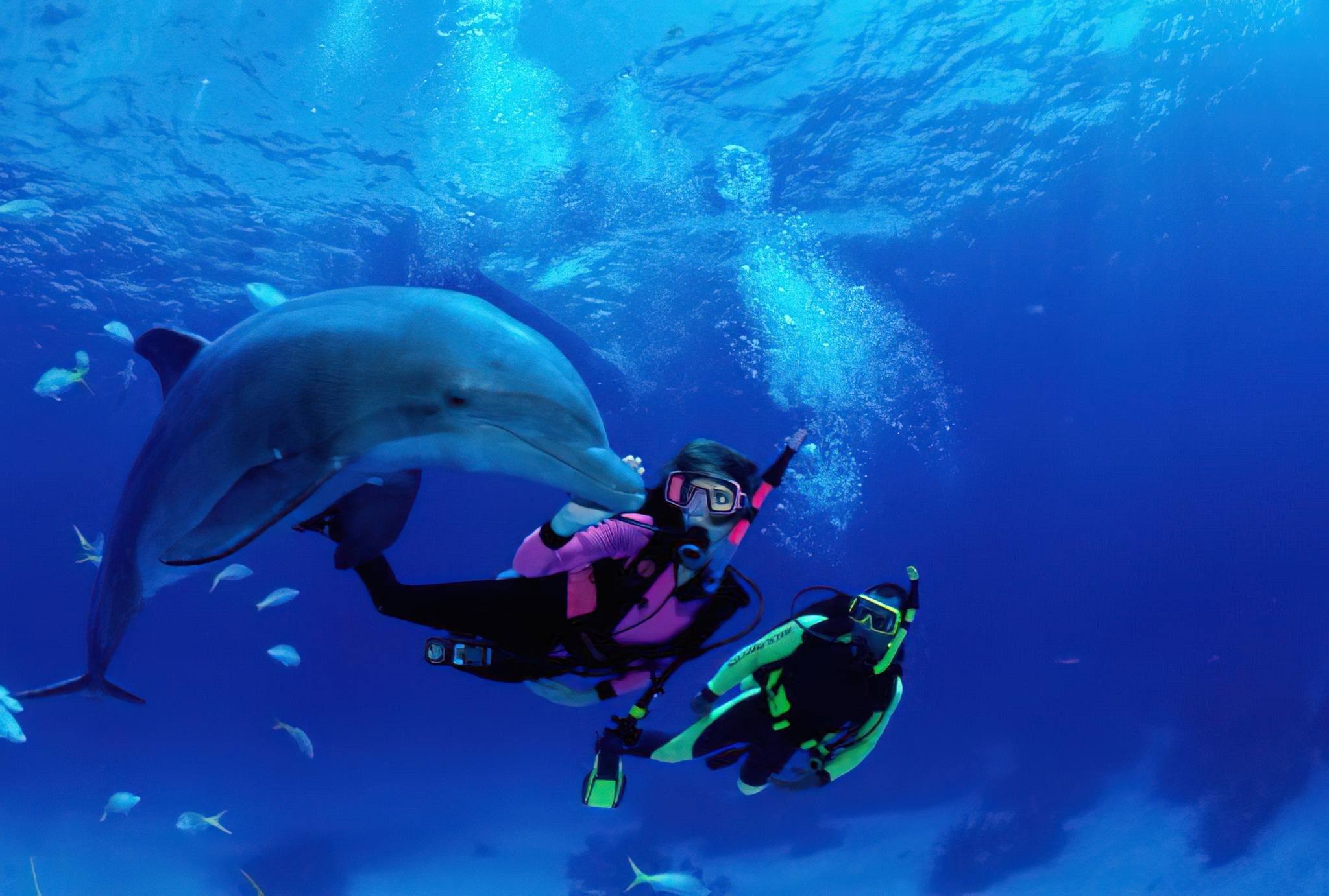 Scuba Diving in Zanzibar and Mafia Island: Best Dive Sites