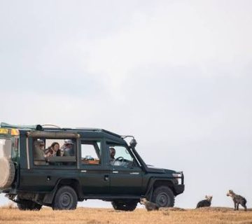 Shared vs Private Safari Vehicles: What Changes on a Game Drive