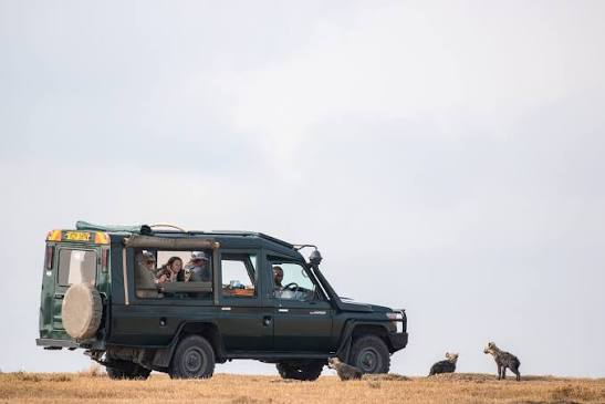Shared vs Private Safari Vehicles: What Changes on a Game Drive