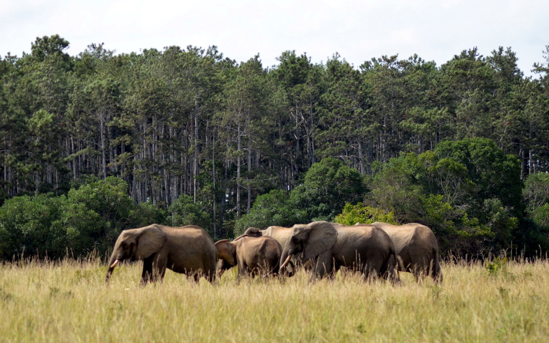 Shimba Hills National Reserve2