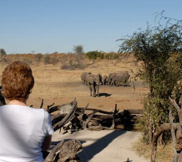Plan affordable African safaris with family room choices, child discounts, suitable activities