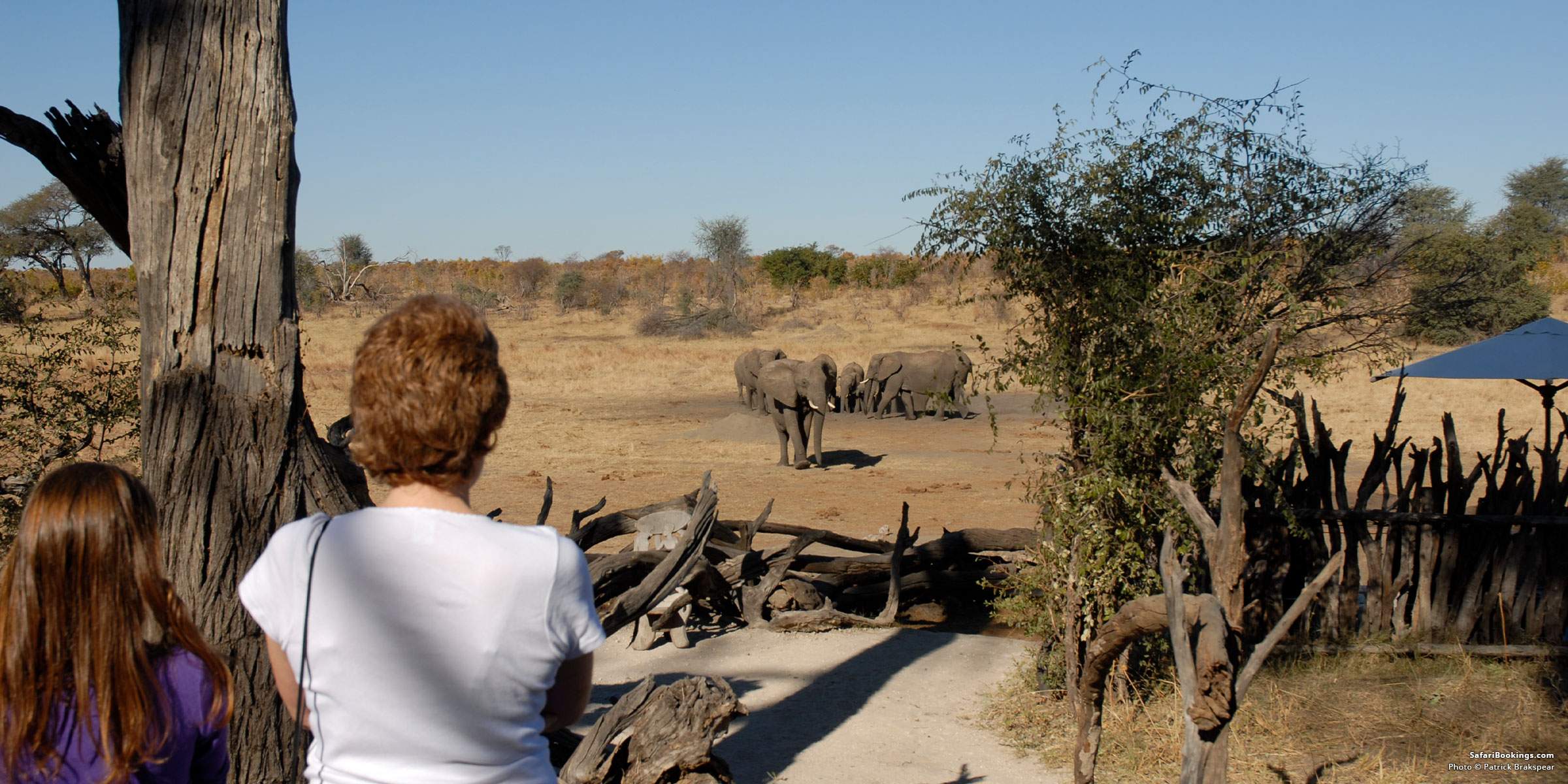Plan affordable African safaris with family room choices, child discounts, suitable activities