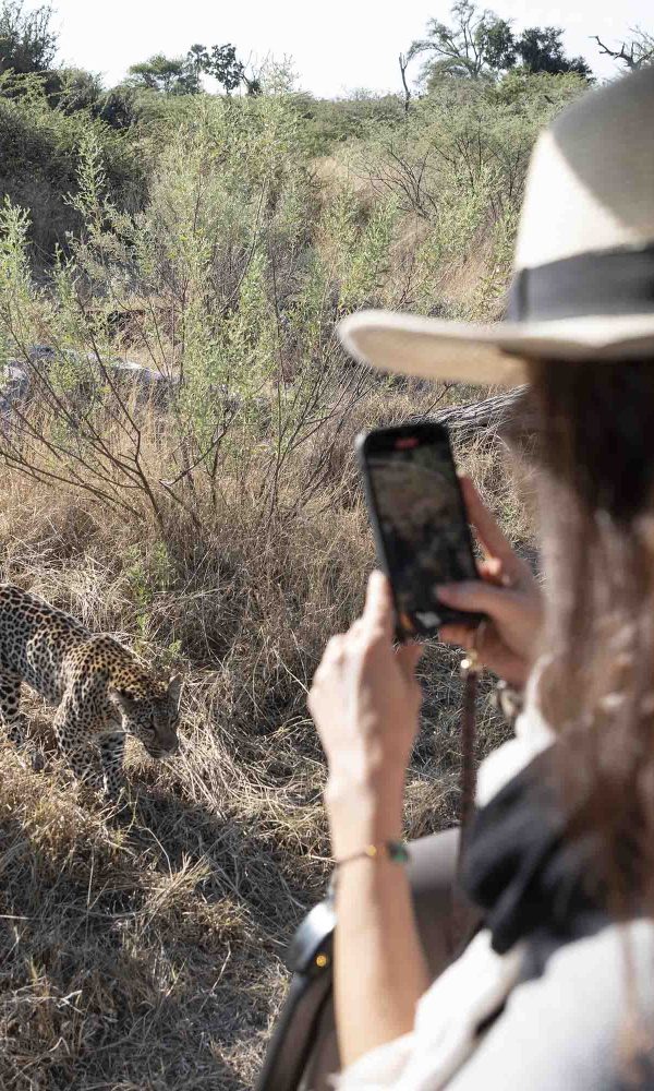 Smartphone Safari Photography: Getting Great Shots Without a DSLR