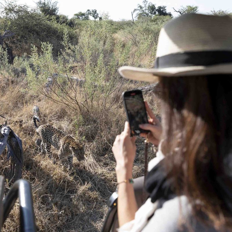 Smartphone Safari Photography: Getting Great Shots Without a DSLR