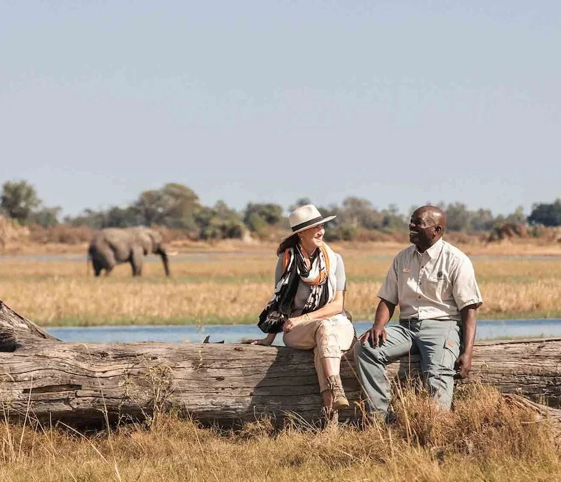 Solo Safari Single Supplements: How to Avoid Paying More