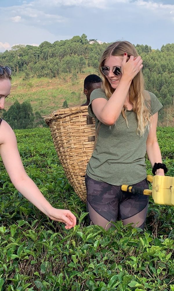 Student Travel to Uganda: Budget Tips and Study Tours
