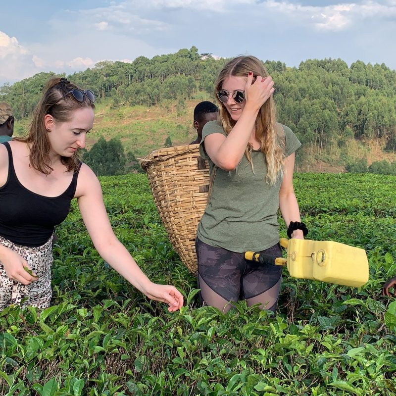 Student Travel to Uganda: Budget Tips and Study Tours