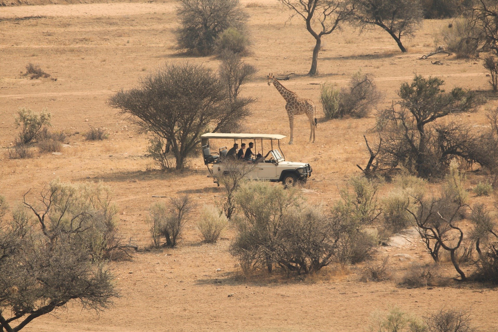 Sustainable Travel: Minimize Your Impact on a Tanzania Adventure Safari Tour Responsibly