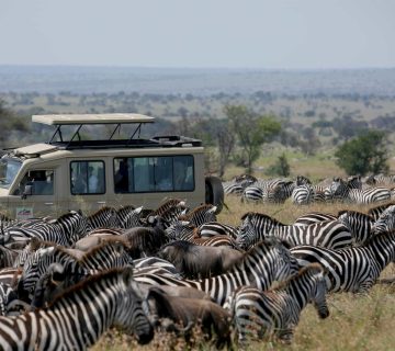 Tanzania Group Safari 360x320