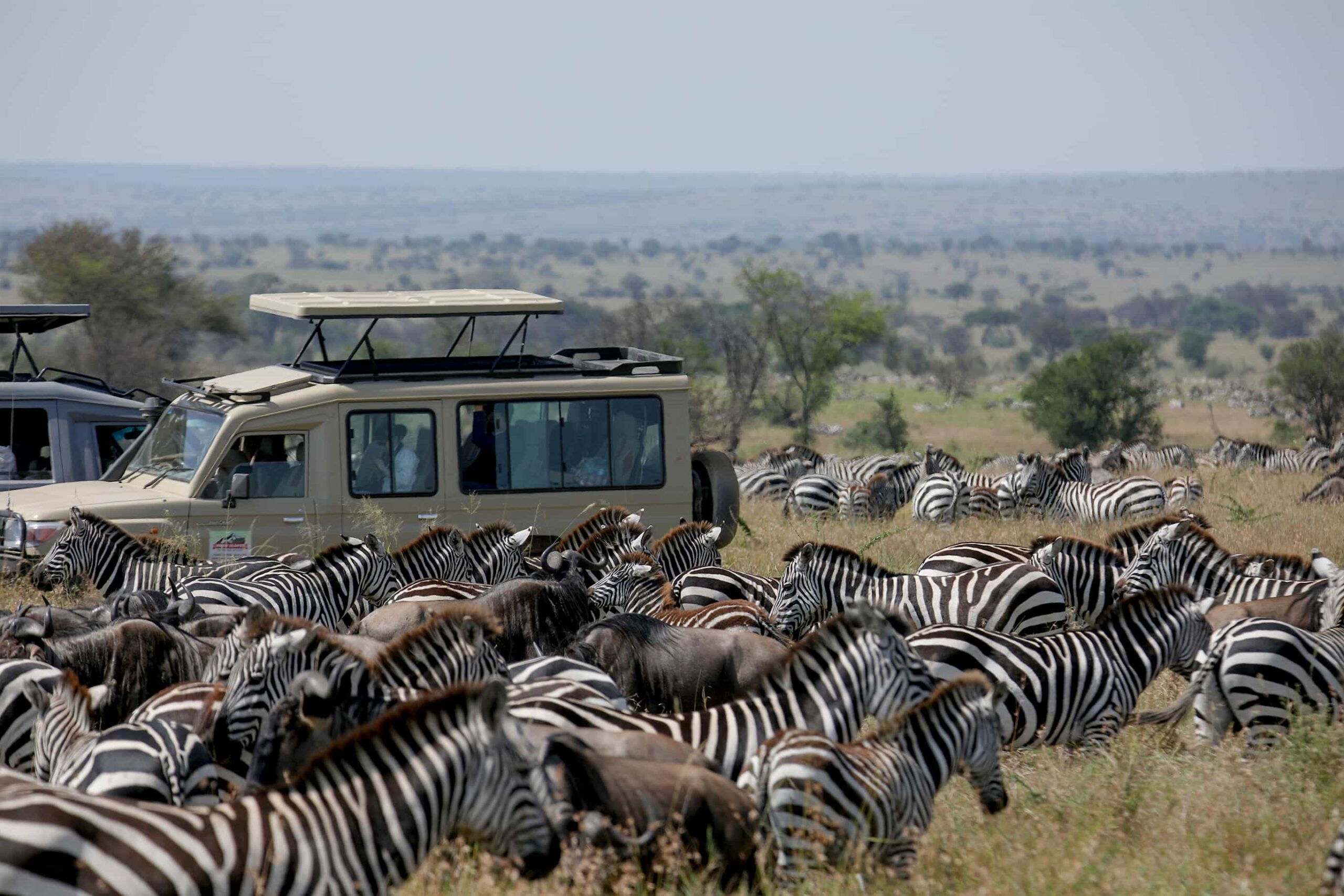 Tanzania Group Safari