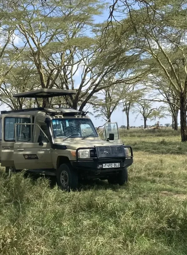 Tanzania Self Drive Safari 600x816