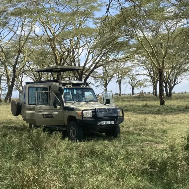 Tanzania Self-Drive Safari Tanzania Self-Drive Safari