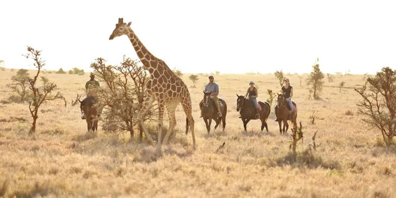 Teen-Friendly Safaris: Activities That Keep Teenagers Engaged
